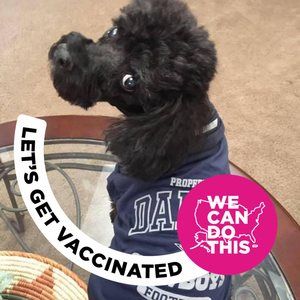 Meet your Posher, Ellen